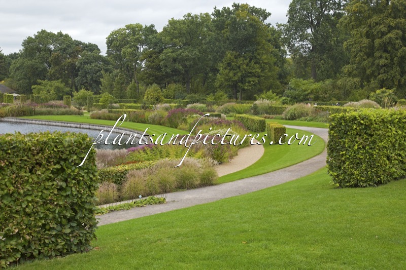 RHS Wisley Garden
