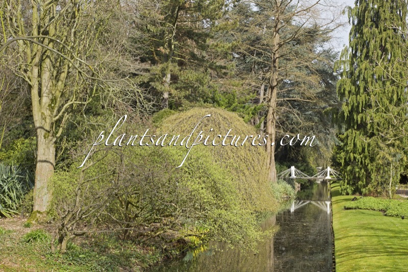 Trompenburg Tuinen & Arboretum