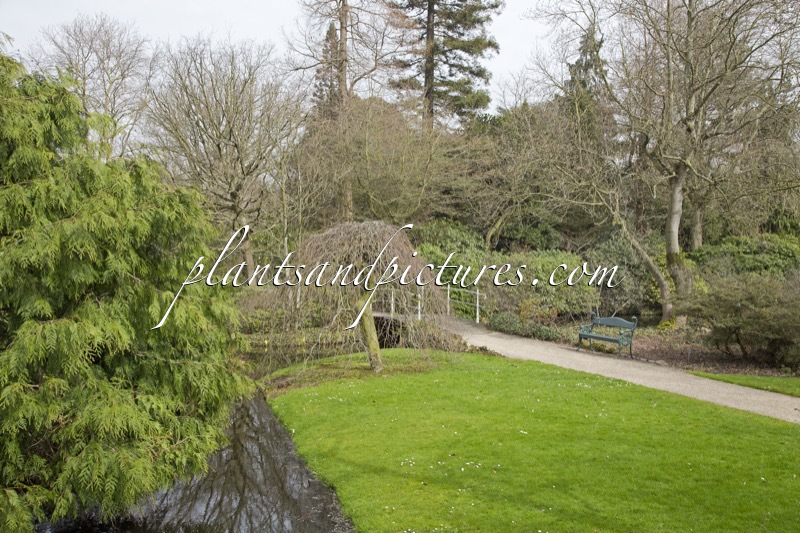 Trompenburg Tuinen & Arboretum