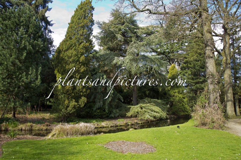 Trompenburg Tuinen & Arboretum