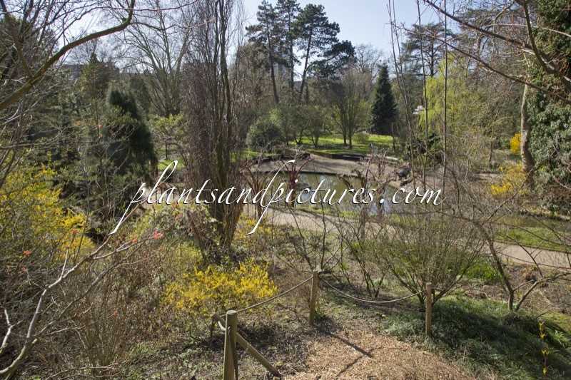 Trompenburg Tuinen & Arboretum