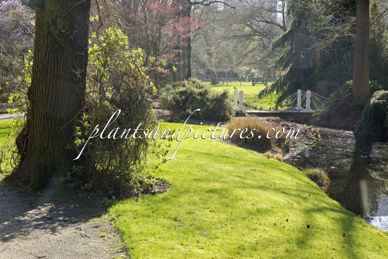 Trompenburg Tuinen & Arboretum