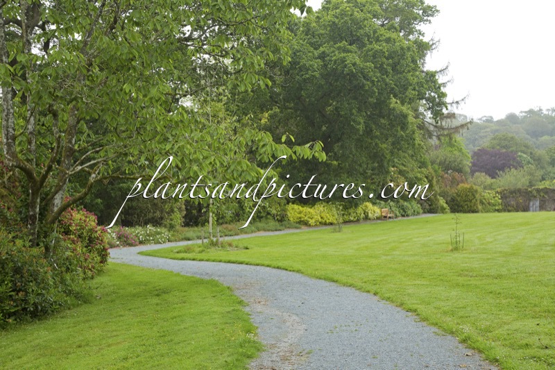 Mount Congreve Gardens