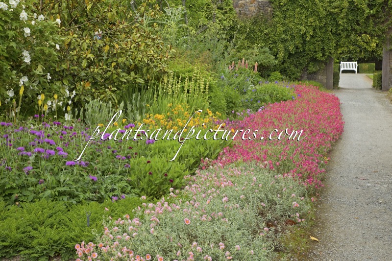 Mount Congreve Gardens