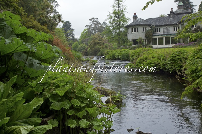 Mount Usher Gardens