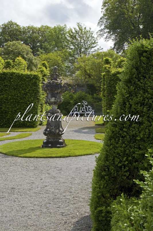 Birr Castle Gardens