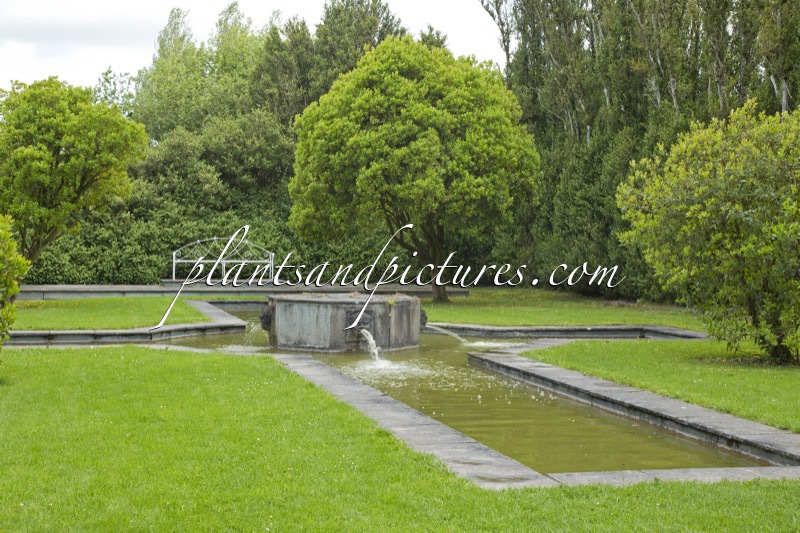 Birr Castle Gardens