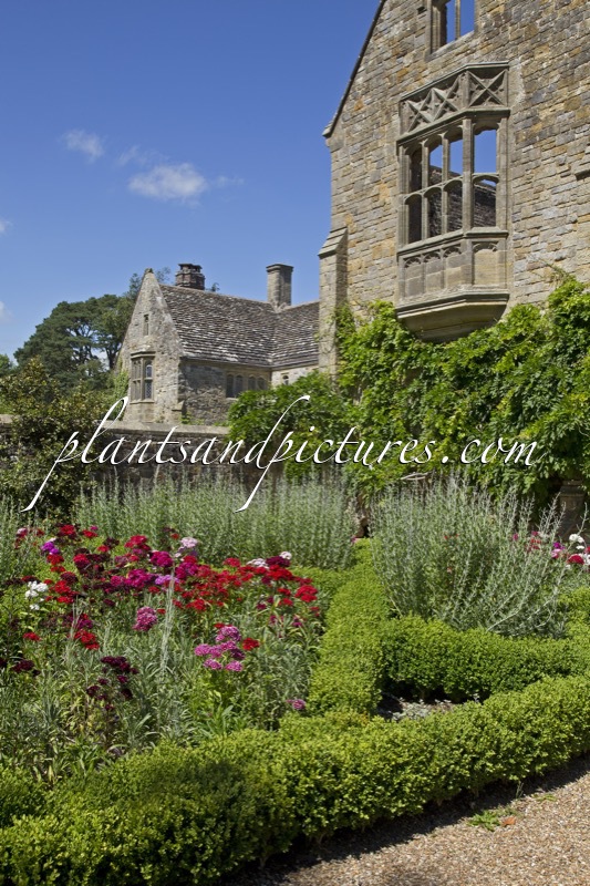 Nymans Garden
