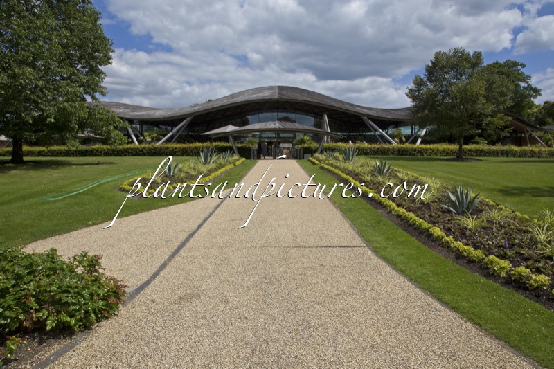 Savill Garden