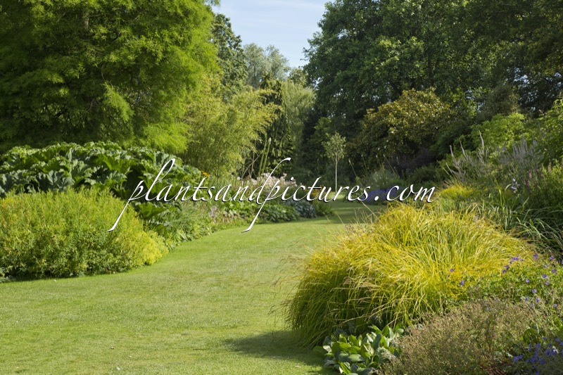Beth Chatto Gardens