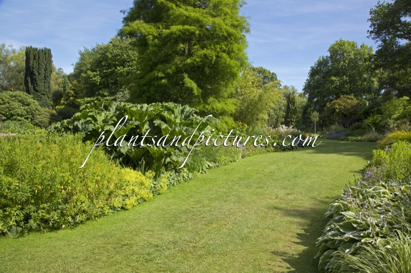 Beth Chatto Gardens
