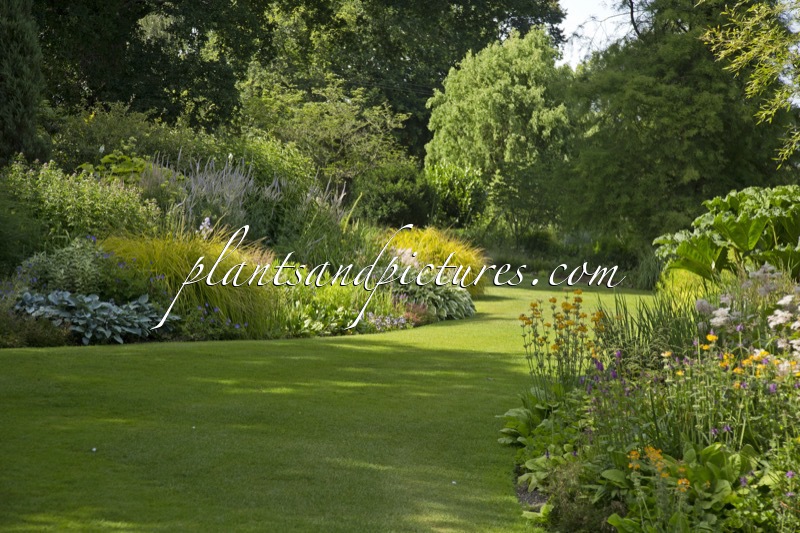 Beth Chatto Gardens