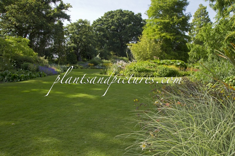 Beth Chatto Gardens