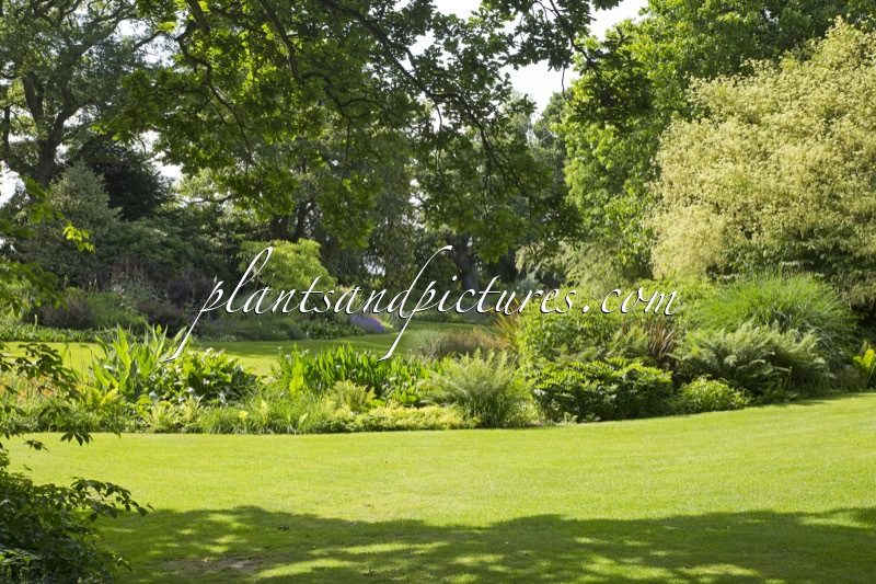 Beth Chatto Gardens