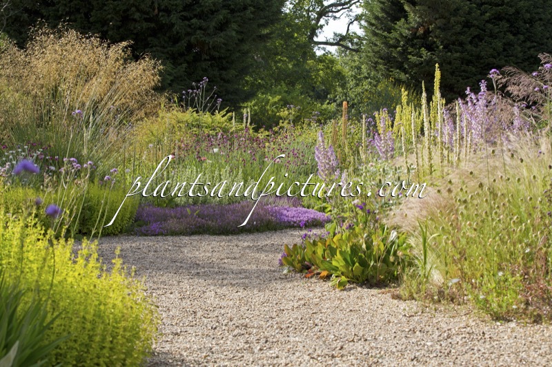 Beth Chatto Gardens