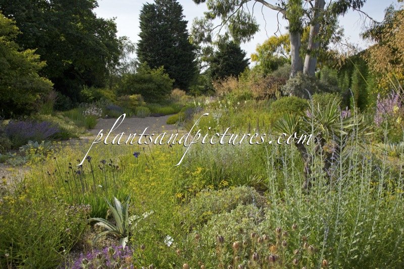 Beth Chatto Gardens
