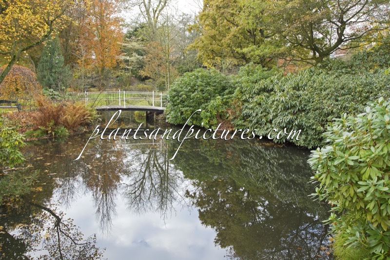 Trompenburg Tuinen & Arboretum