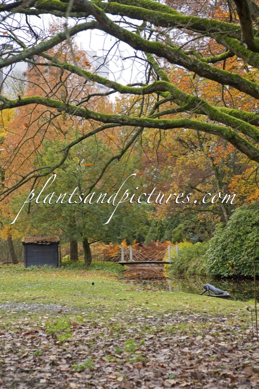 Trompenburg Tuinen & Arboretum