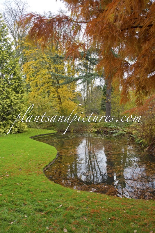 Trompenburg Tuinen & Arboretum