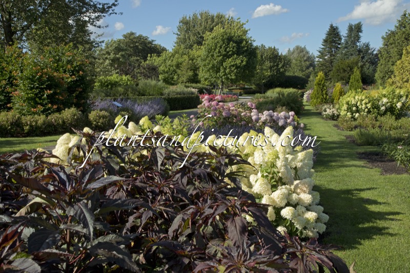 Sortimentstuin Harry van de Laar