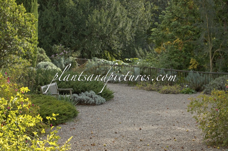 Arboretum Park Härle