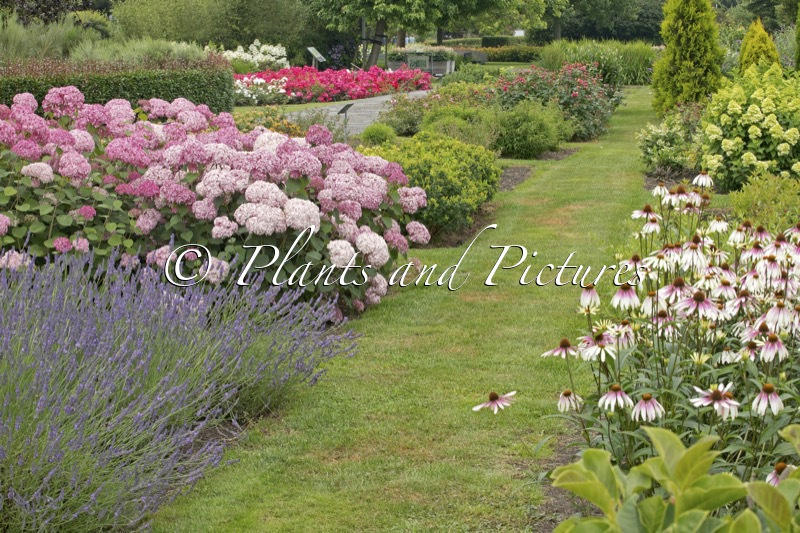 Sortimentstuin Harry van de Laar