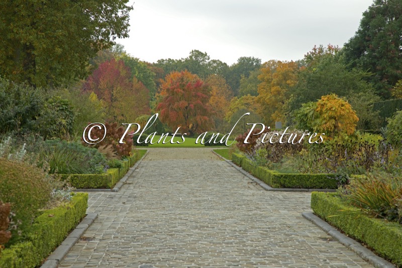 Arboretum Wespelaar