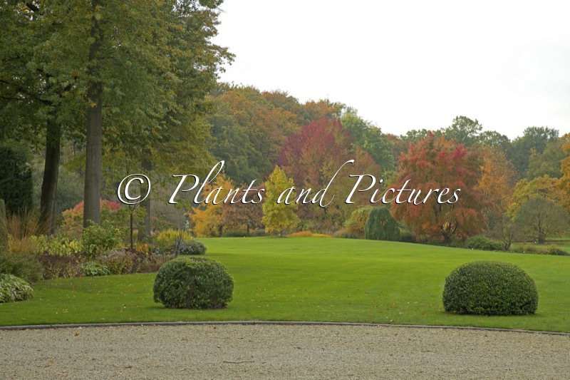 Arboretum Wespelaar