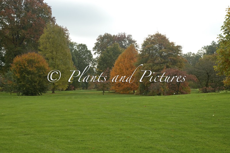 Arboretum Wespelaar