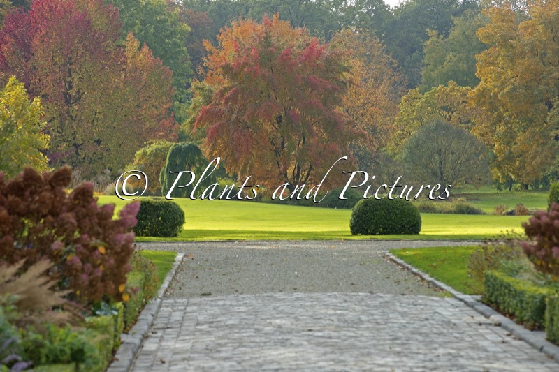 Arboretum Wespelaar