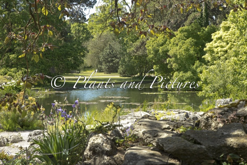 Cambridge University Botanic Garden
