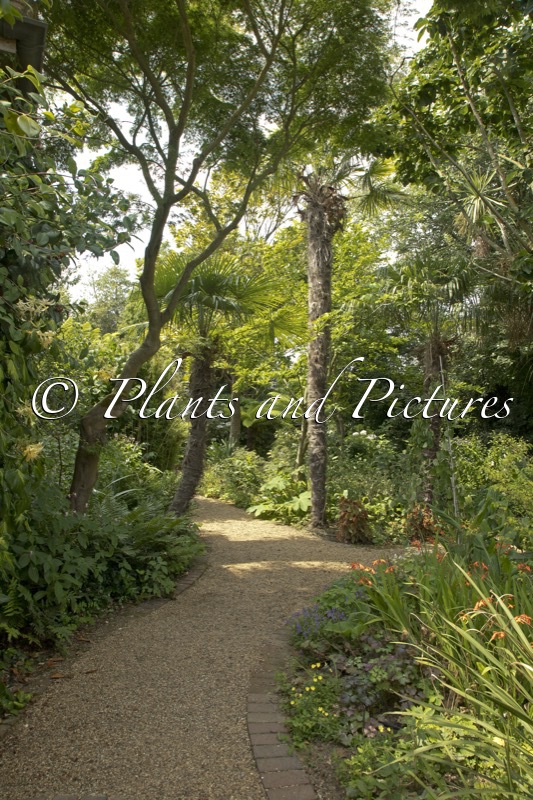 East Ruston Old Vicarage