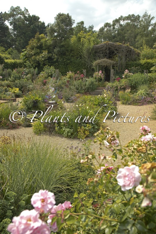 East Ruston Old Vicarage