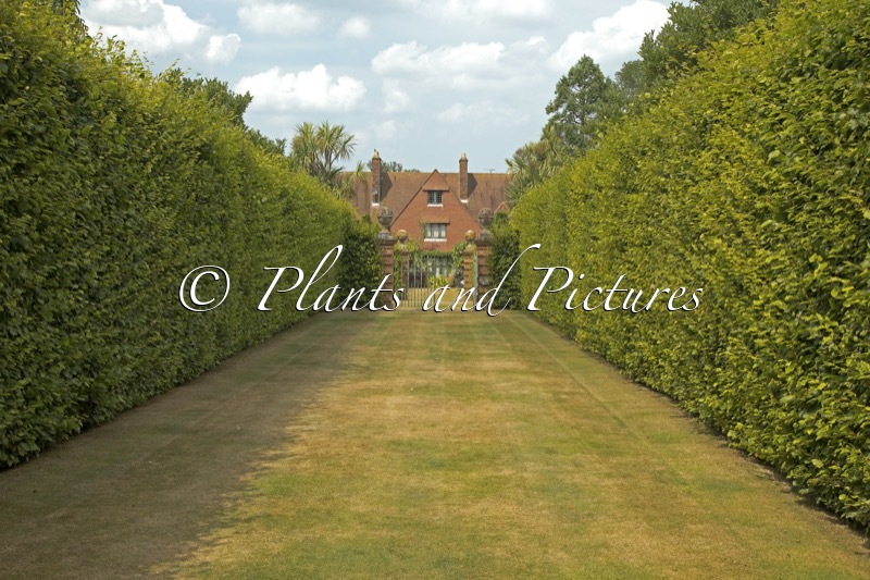 East Ruston Old Vicarage