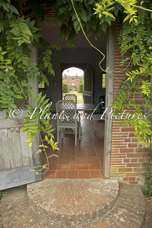 East Ruston Old Vicarage