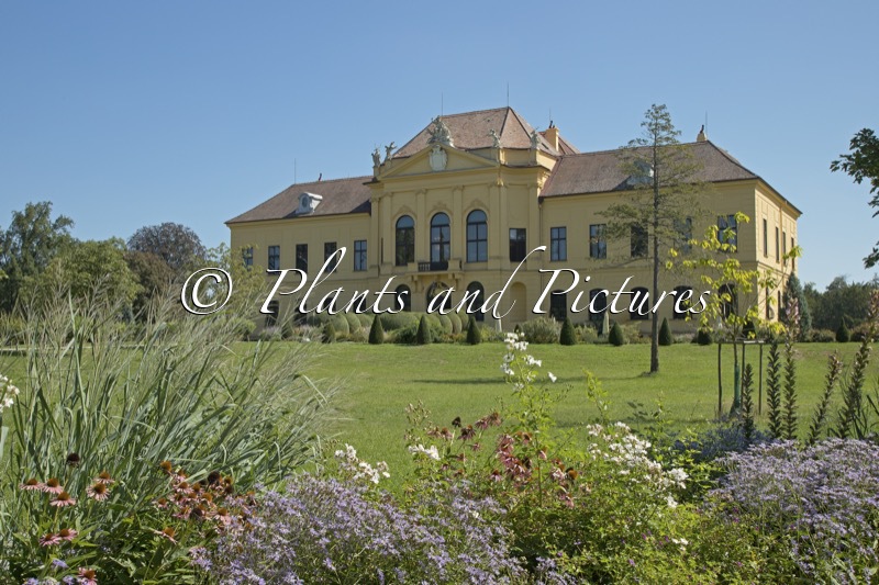 Schloss Eckartsau