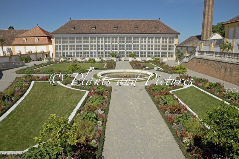 Schloss Hof