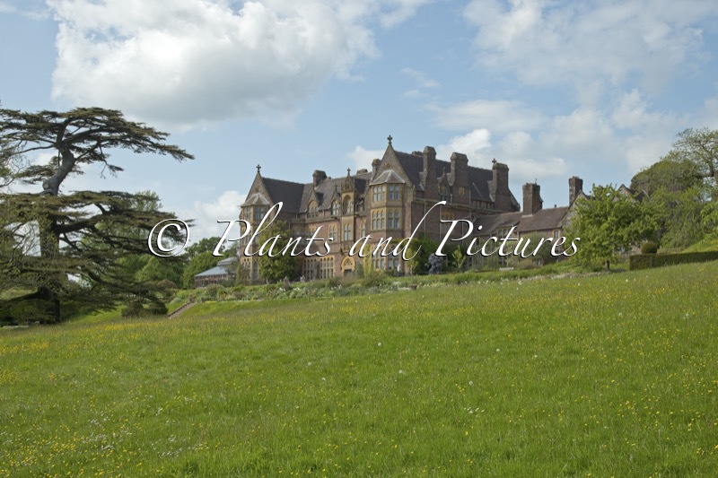 Knighthayes Court