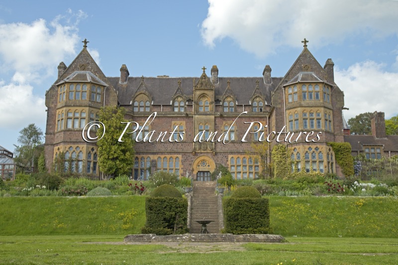 Knighthayes Court