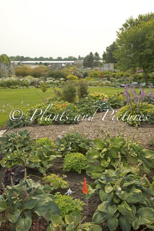 Walters Gardens, Inc.