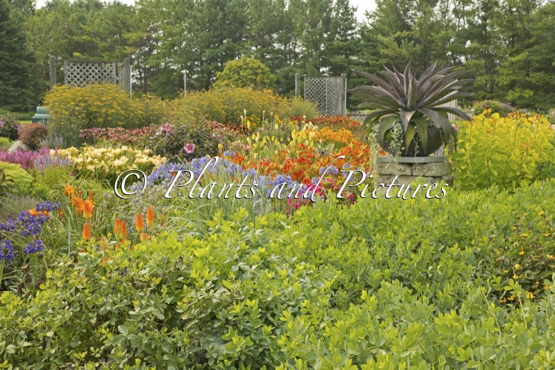 Walters Gardens, Inc.