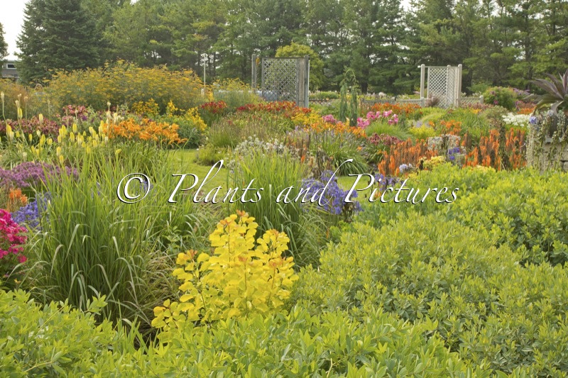 Walters Gardens, Inc.