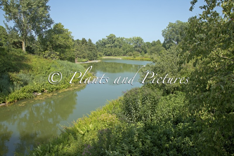 Chicago Botanic Garden