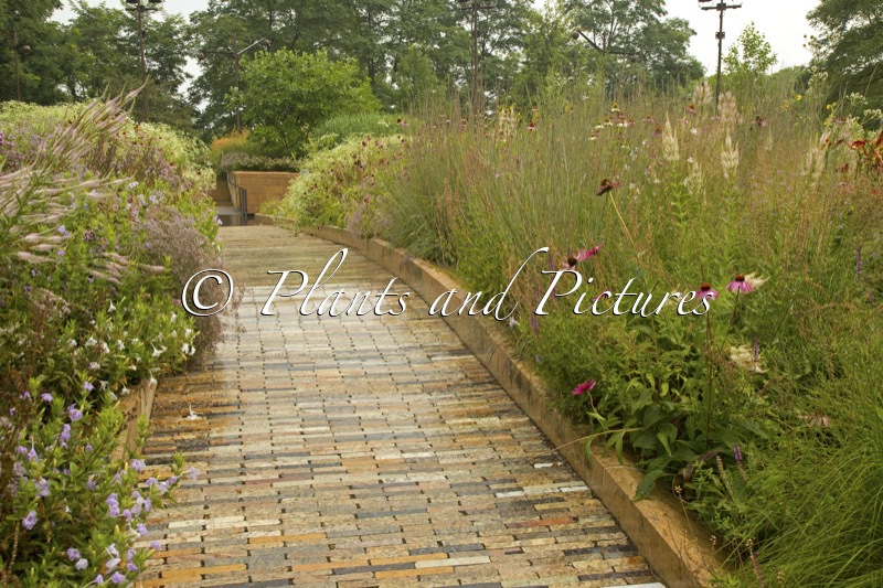 Lurie Garden