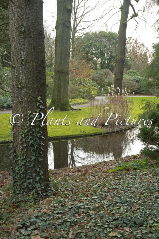 Trompenburg Tuinen en Arboretum