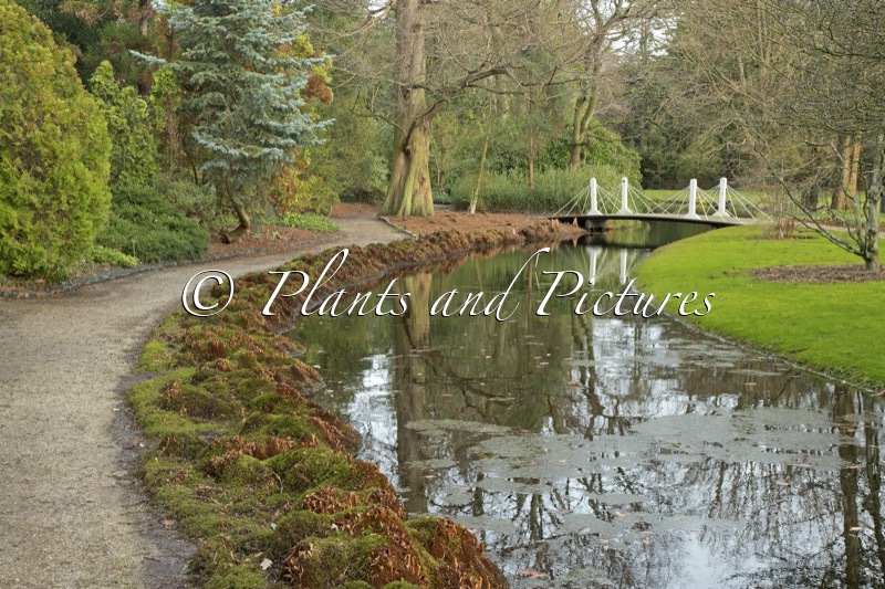 Trompenburg Tuinen en Arboretum