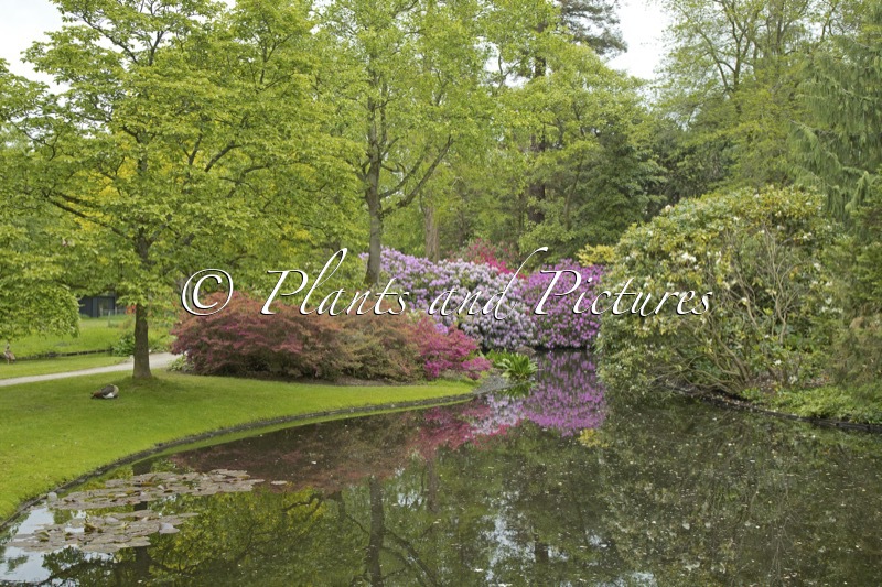 Trompenburg Tuinen & Arboretum