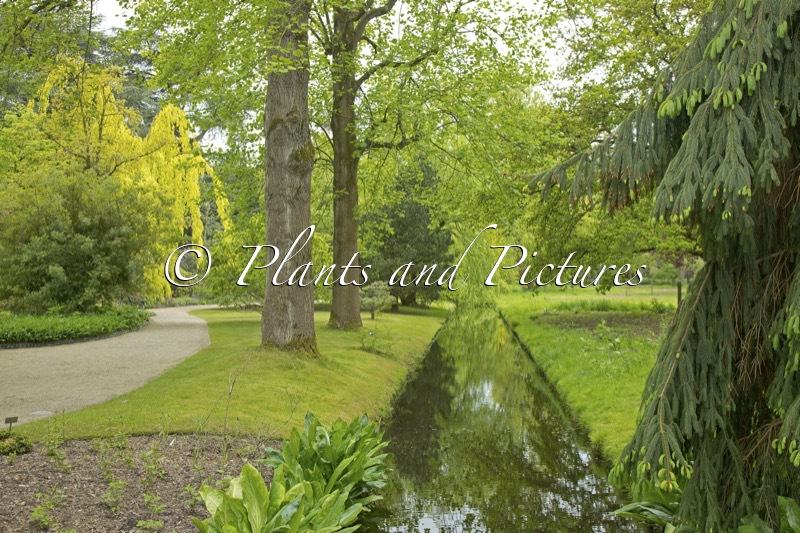 Trompenburg Tuinen & Arboretum
