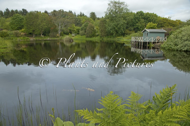 Glenwhan Gardens
