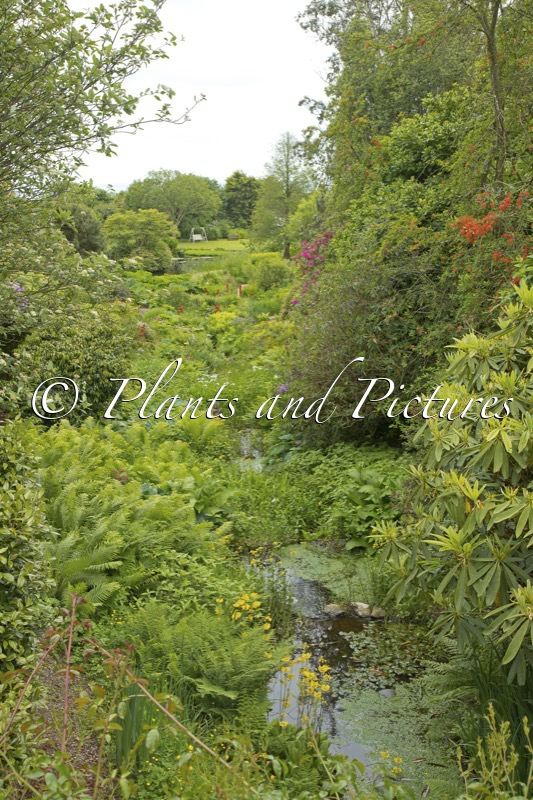 Glenwhan Gardens